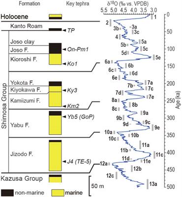Luminescence chronology for identifying depositional sequences in an uplifted coast since the Middle Pleistocene, eastern Japan